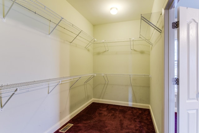 spacious closet with carpet flooring