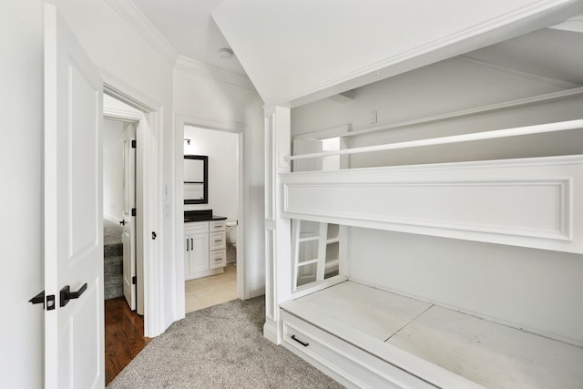 interior space with ornamental molding, carpet floors, and connected bathroom