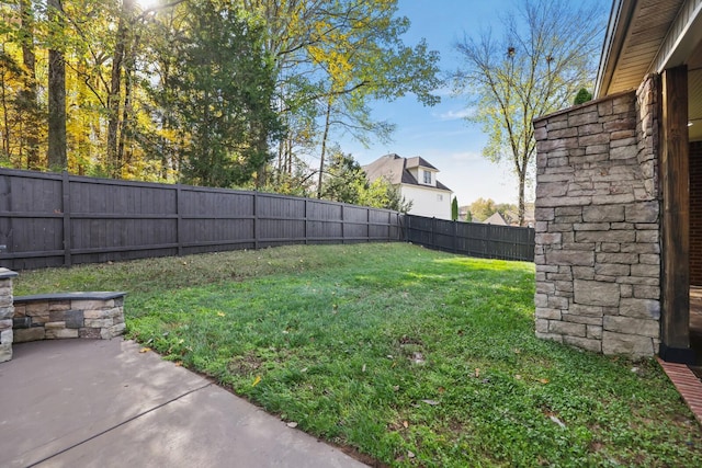 view of yard featuring a patio area