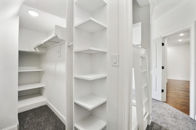 walk in closet featuring hardwood / wood-style floors