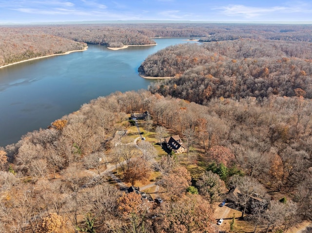 255 Parks Dr, Normandy, TN 37360 - drone / aerial view of a forest and a large body of water