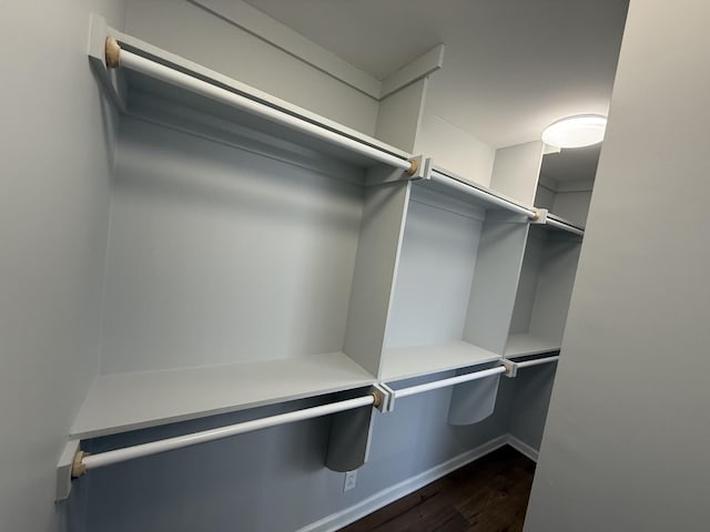 spacious closet featuring dark hardwood / wood-style flooring