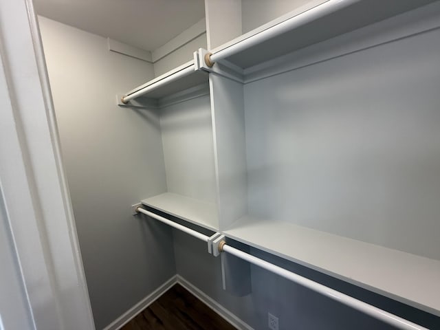 spacious closet with dark wood-type flooring