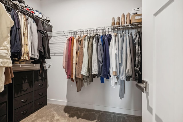 spacious closet with carpet floors