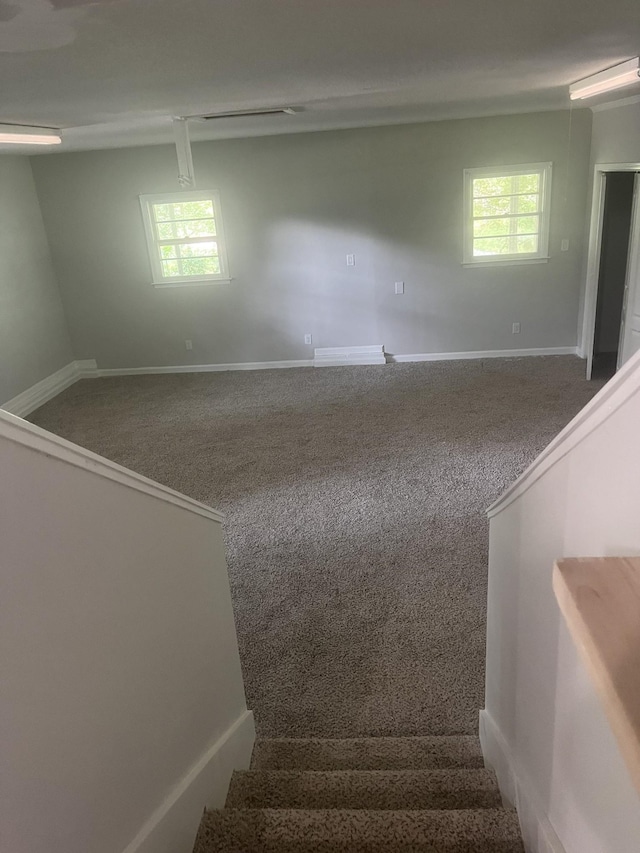 stairs with carpet flooring and a wealth of natural light