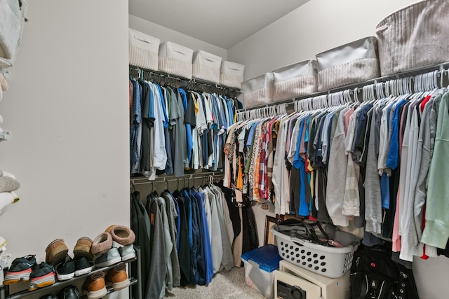 spacious closet featuring light colored carpet