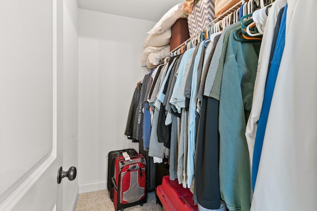 spacious closet featuring carpet