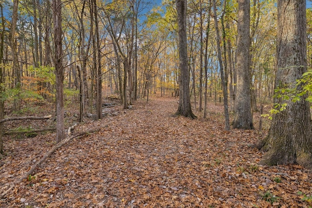 view of nature