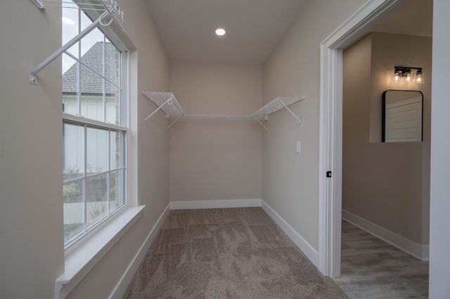 walk in closet with carpet floors