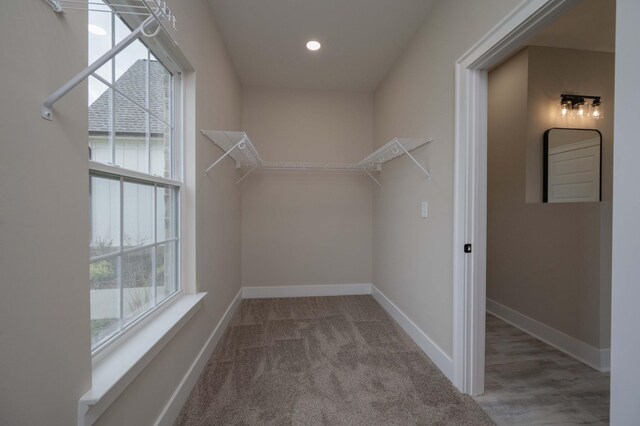 10118 Bighorn Ln, Bell Buckle, TN 37020 - walk in closet with carpet