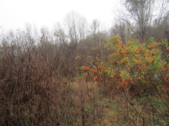 0 Lanis Rd, Baxter, TN 38544