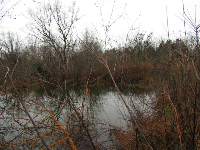 0 Lanis Rd, Baxter, TN 38544