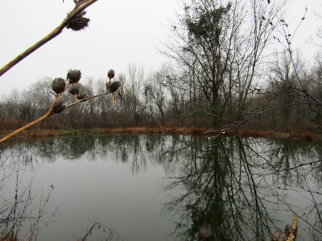0 Lanis Rd, Baxter, TN 38544