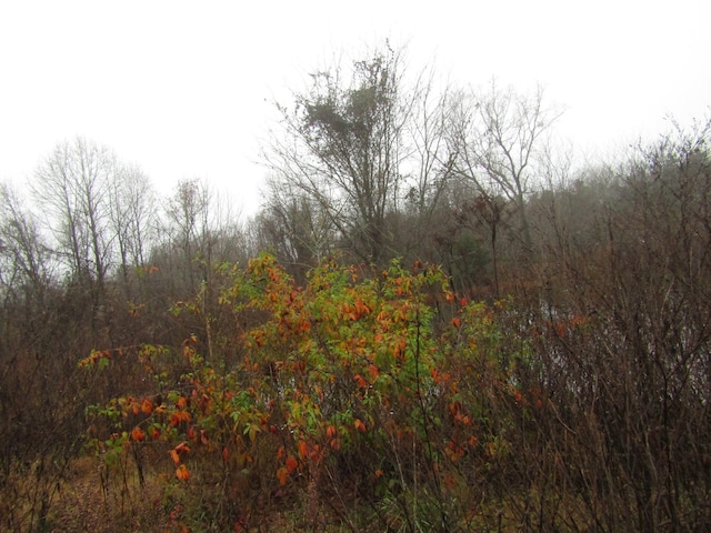 0 Lanis Rd, Baxter, TN 38544
