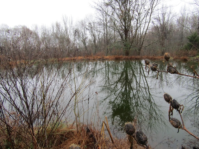 0 Lanis Rd, Baxter, TN 38544