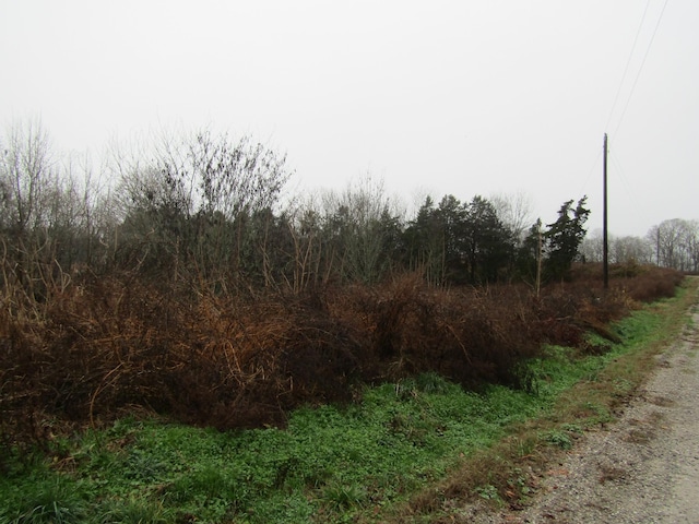 0 Lanis Rd, Baxter, TN 38544