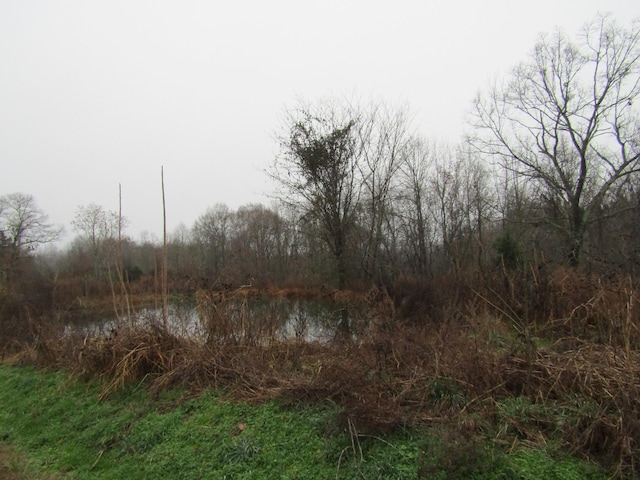 0 Lanis Rd, Baxter, TN 38544