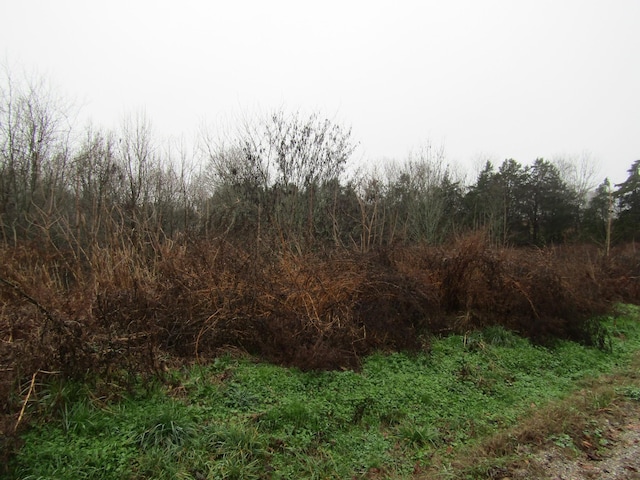0 Lanis Rd, Baxter, TN 38544