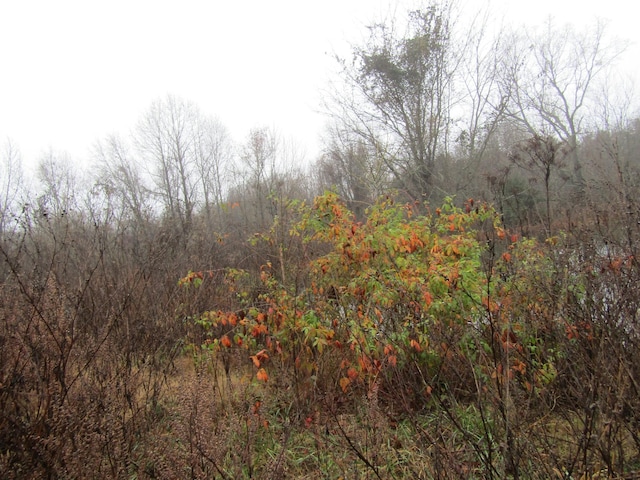0 Lanis Rd, Baxter, TN 38544