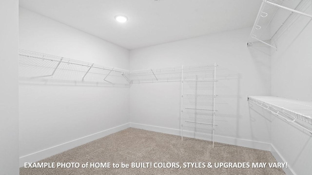 spacious closet with carpet floors