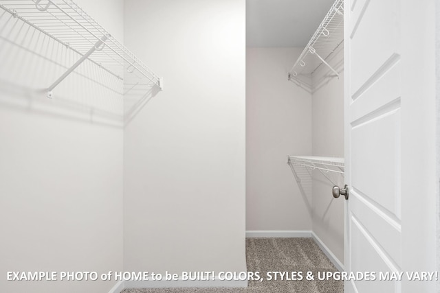 spacious closet featuring carpet flooring