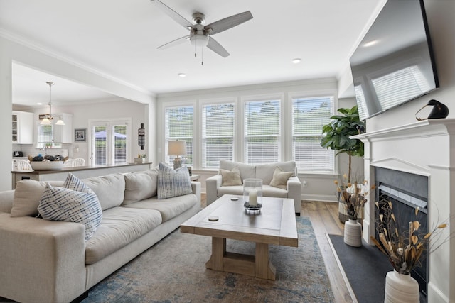 living room with ceiling fan with notable chandelier, hardwood / wood-style flooring, and crown molding