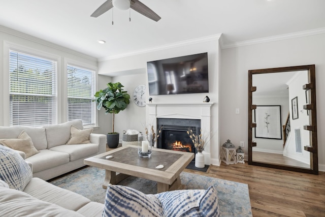 living room with hardwood / wood-style flooring, ceiling fan, and crown molding