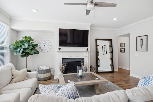 living room with a fireplace, ornamental molding, ceiling fan, and dark wood-type flooring