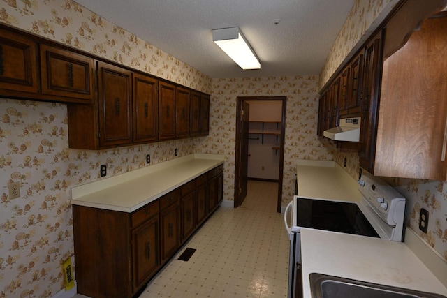 kitchen with electric range, dark brown cabinets, and extractor fan