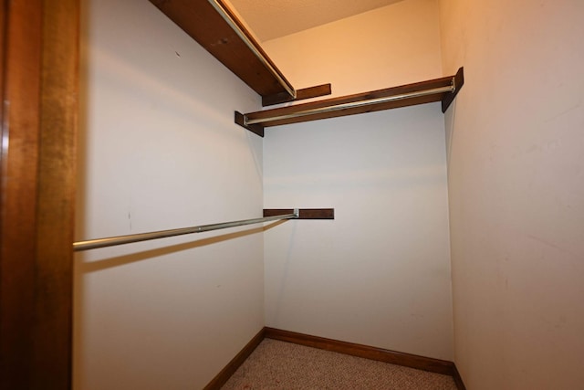 walk in closet featuring carpet floors