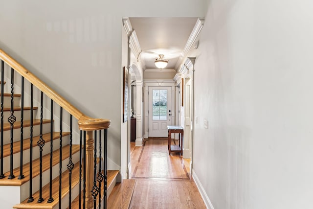 interior space featuring wood-type flooring and crown molding