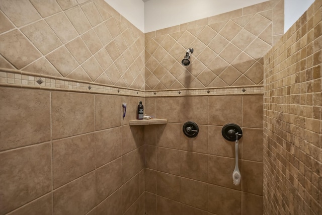 interior details with tiled shower