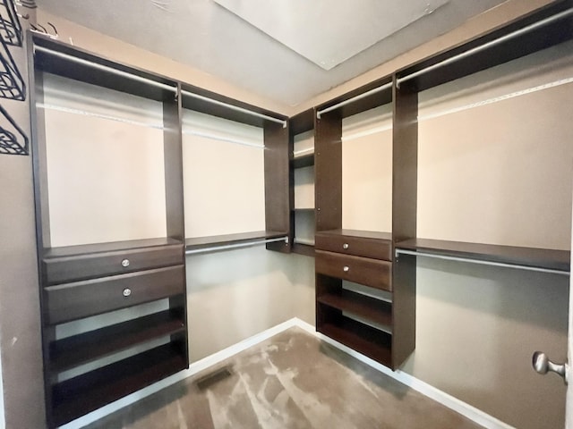 spacious closet with carpet flooring