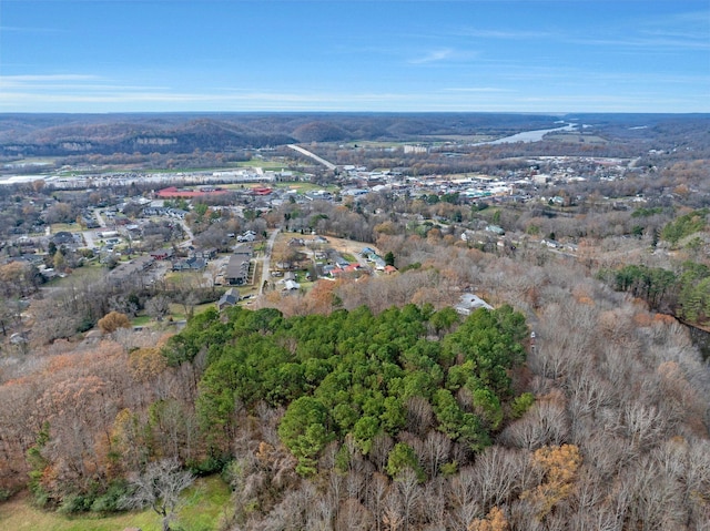 100 Lakeview Dr, Ashland City TN, 37015 land for sale