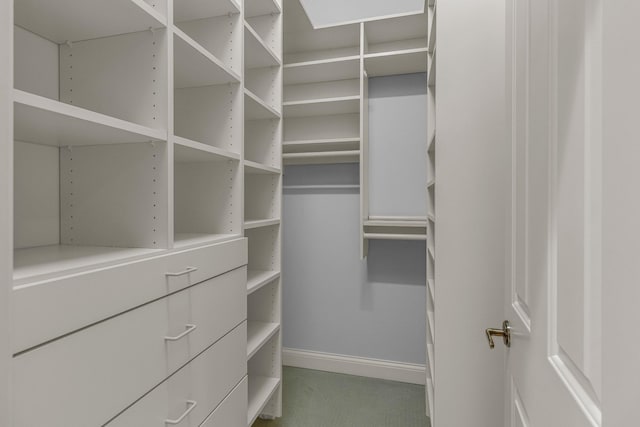 spacious closet featuring carpet flooring