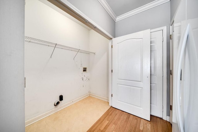 laundry area with crown molding, hookup for a washing machine, and light hardwood / wood-style flooring