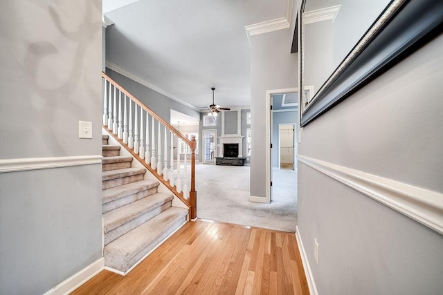 staircase featuring hardwood / wood-style floors, ceiling fan, and crown molding