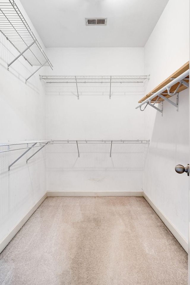 spacious closet with carpet floors