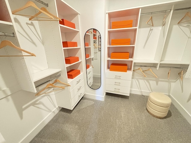 walk in closet with carpet floors