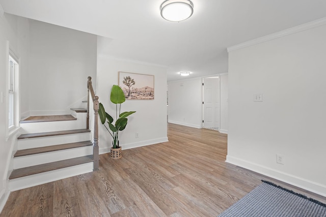 interior space featuring hardwood / wood-style floors and crown molding