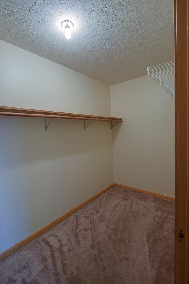 spacious closet with carpet