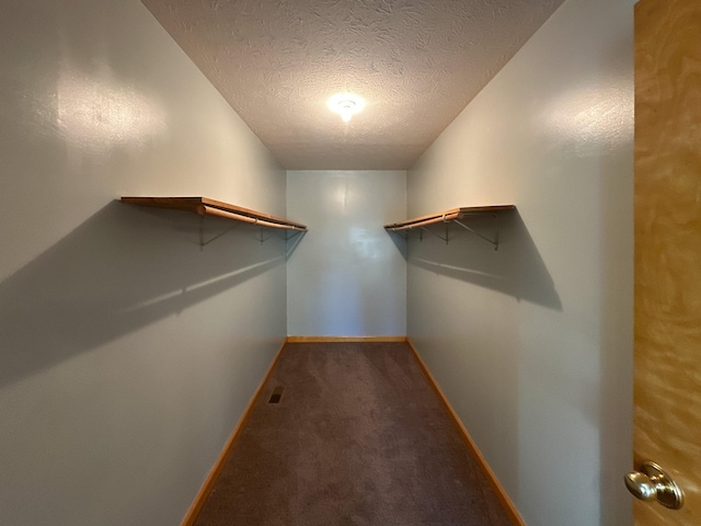 spacious closet featuring carpet