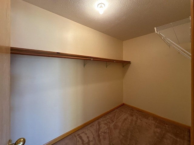 walk in closet with carpet floors