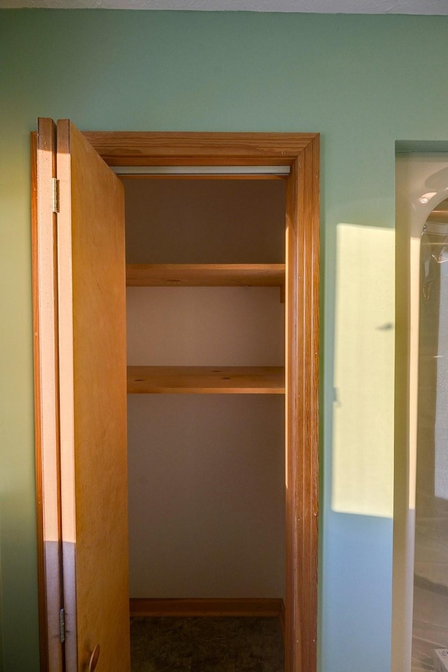 view of closet