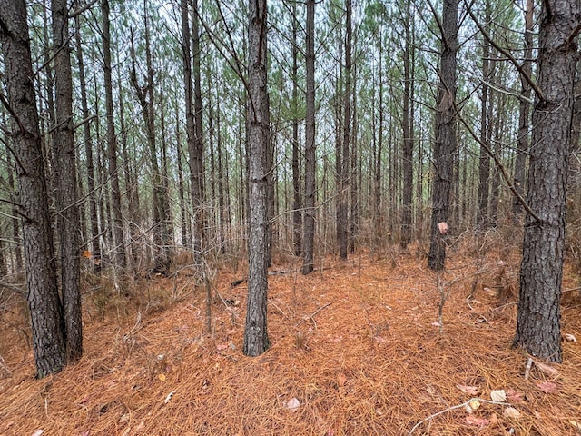 3960 Old Hohenwald Rd, Linden, TN 37096