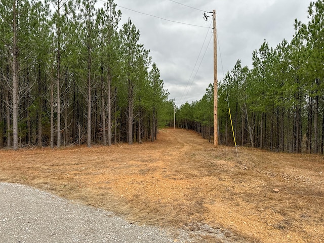 3960 Old Hohenwald Rd, Linden, TN 37096
