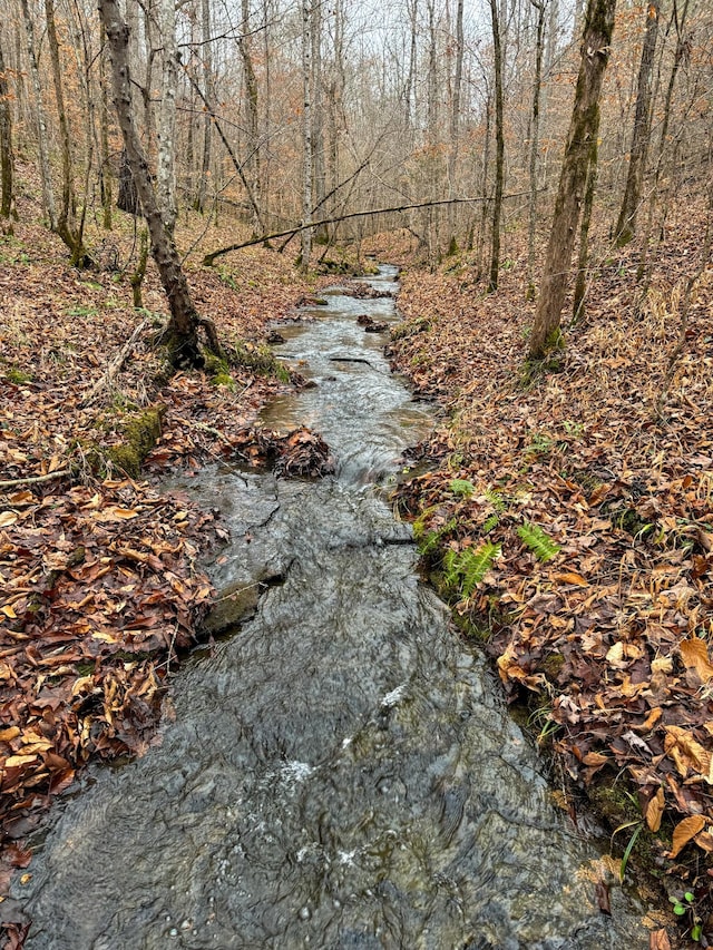 3960 Old Hohenwald Rd, Linden, TN 37096