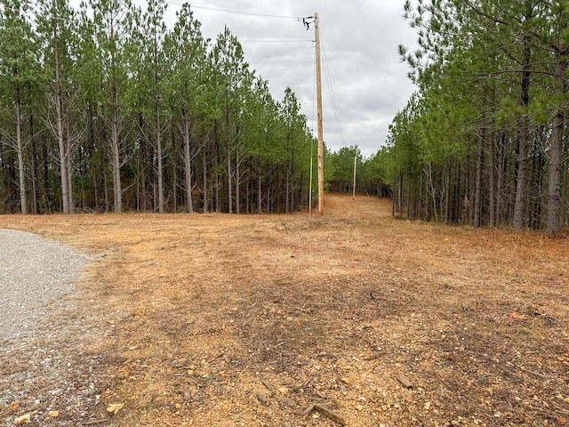 3960 Old Hohenwald Rd, Linden, TN 37096