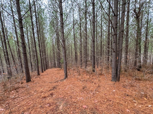 3960 Old Hohenwald Rd, Linden, TN 37096