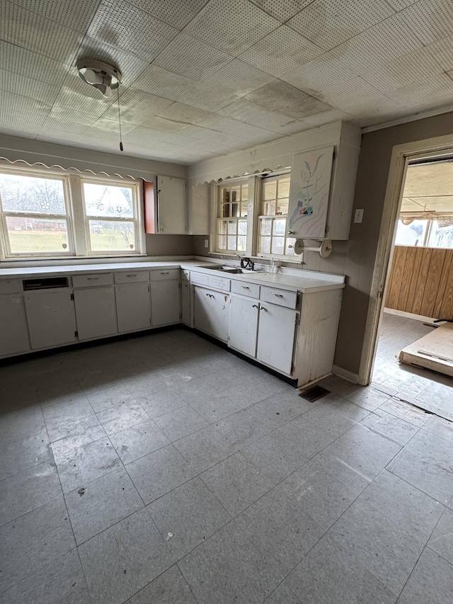 kitchen with sink and white cabinets